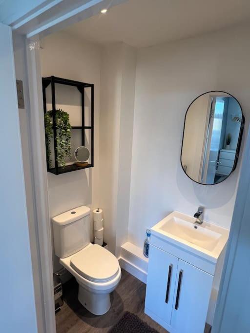 Abbotsbury 1 Bed Studio Opposite Uwe Free Parking Bristol Exterior foto